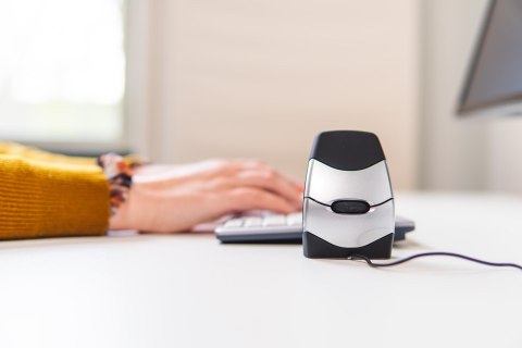 Mysz ergonomiczna BakkerElkhuizen DXT Präzisionsmaus vertikal No name