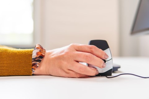 Mysz ergonomiczna BakkerElkhuizen DXT Präzisionsmaus vertikal No name
