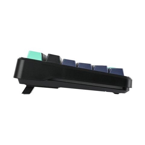 Klawiatura gasket F87 Pro Dark Blue + Black + Cyan GrayWoodV4 switch RGB AULA AULA