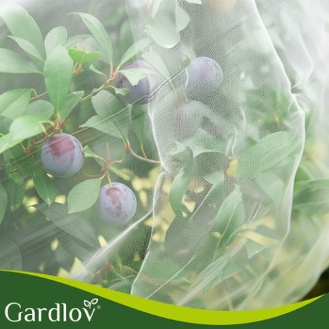 Siatka ochronna na grządkę 3x6m Gardlov GARDLOV