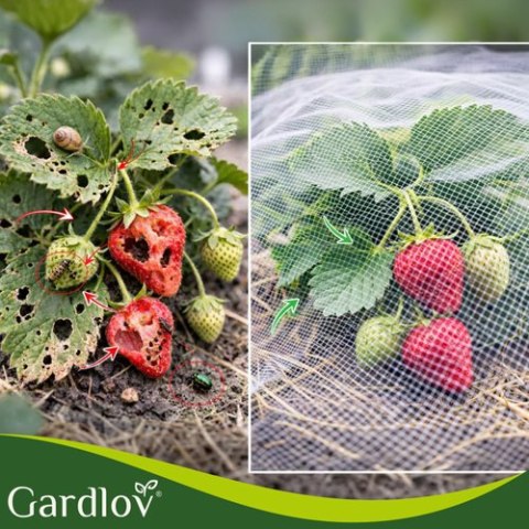 Siatka ochronna na grządkę 3x6m Gardlov GARDLOV