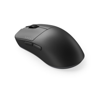 Novus Wireless, Black No name