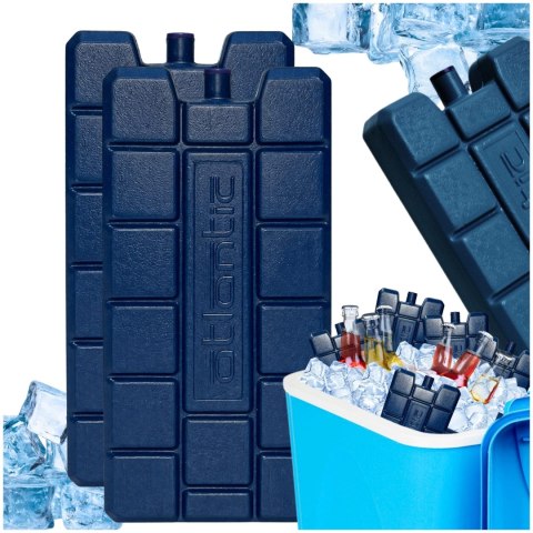 Wkład mrożący ATLANTIC KAMAI 2x240ml