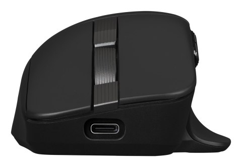 ASUS MD301 ProArt Maus wireless 8000dpi schwarz No name