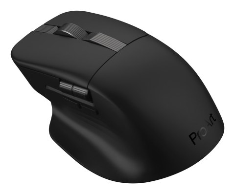 ASUS MD301 ProArt Maus wireless 8000dpi schwarz No name