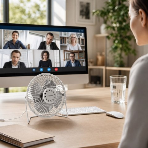 EA149W Esperanza wentylator 6" usb yugo biały