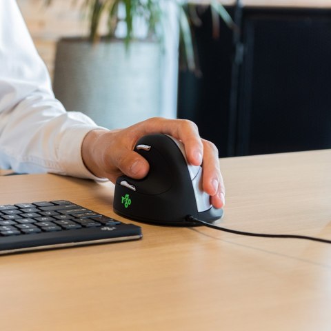 R Go Tools R-Go Pele HE ergonomisch links USB mittel juodas/silb retail No name