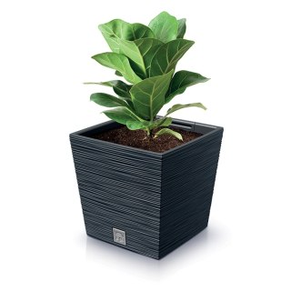 Doniczka FURU SQUARE LOW DFS240 - antracytowy Prosperplast