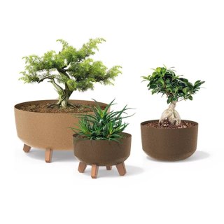 Doniczka Gracia Low Eco Wood DGRL300LW kawa eco Prosperplast