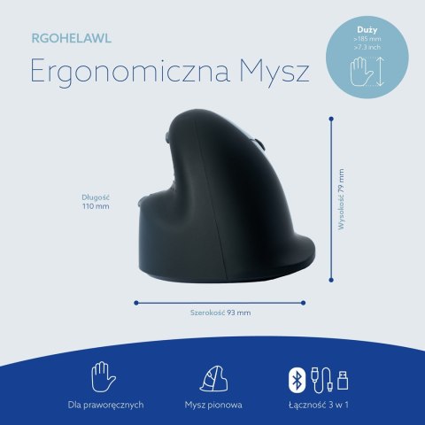 R-Go Tools Ergonomiczna mysz R-Go HE No name