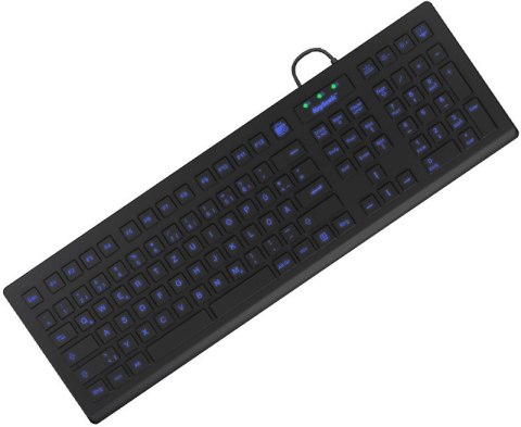 KeySonic KSK-8031INEL-B (DE) klawiatura Przemysłowy USB QWERTZ Niemiecki Czarny RAIDSONIC
