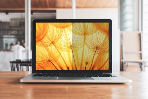 3M Filtr Prywatyzujący Bright Screen do Microsoft® Surface® Laptop 7 13.8 cal, 3:2, BPNMS005 3M