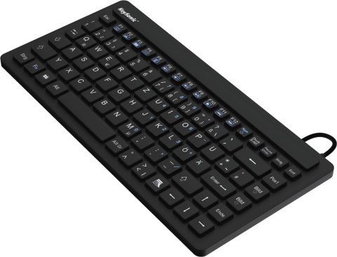KeySonic KSK-3230IN (US) klawiatura Przemysłowy USB QWERTY US English Czarny KeySonic