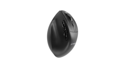 GEMBIRD BEZPRZEWODOWA, ERGONOMICZNA MYSZ TRI MODE (2.4G + BT + USB) 2400 DPI, 9 PRZYCISKÓW, CZARNA GEMBIRD
