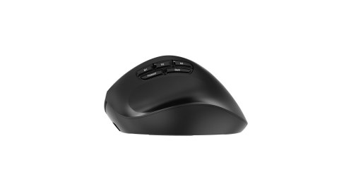 GEMBIRD BEZPRZEWODOWA, ERGONOMICZNA MYSZ TRI MODE (2.4G + BT + USB) 2400 DPI, 9 PRZYCISKÓW, CZARNA GEMBIRD