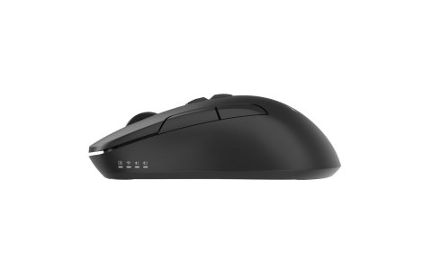 GEMBIRD MYSZ BEZPRZEWODOWA DUAL MODE (2.4G + BT) 1600 DPI, 7 PRZYCISKÓW, KOLOR CZARNY GEMBIRD
