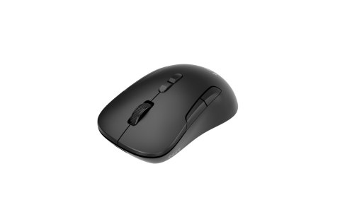GEMBIRD MYSZ BEZPRZEWODOWA DUAL MODE (2.4G + BT) 1600 DPI, 7 PRZYCISKÓW, KOLOR CZARNY GEMBIRD