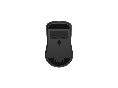 GEMBIRD MYSZ BEZPRZEWODOWA DUAL MODE (2.4G + BT) 1600 DPI, 7 PRZYCISKÓW, KOLOR CZARNY GEMBIRD
