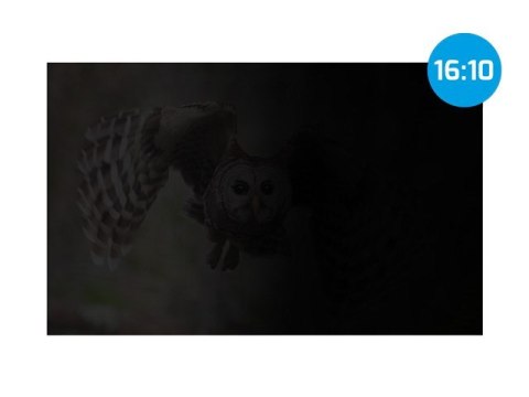 FILTR PRYWATYZUJĄCY RODO NATEC OWL 14" 16:10 NATEC