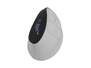 NATEC MYSZ BEZPRZEWODOWA EUPHONIE PRO BT5.0 2400DPI NATEC