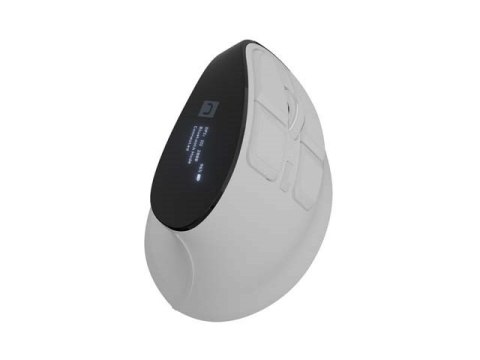 NATEC MYSZ BEZPRZEWODOWA EUPHONIE PRO BT5.0 2400DPI NATEC