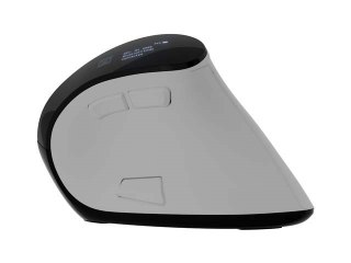 NATEC MYSZ BEZPRZEWODOWA EUPHONIE PRO BT5.0 2400DPI NATEC