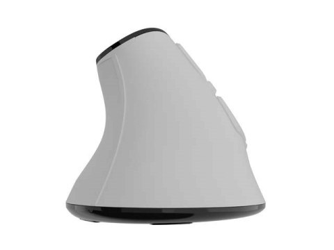 NATEC MYSZ BEZPRZEWODOWA EUPHONIE PRO BT5.0 2400DPI NATEC