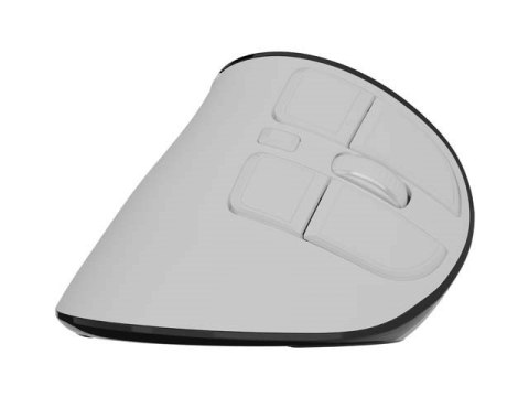 NATEC MYSZ BEZPRZEWODOWA EUPHONIE PRO BT5.0 2400DPI NATEC