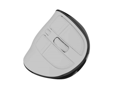 NATEC MYSZ BEZPRZEWODOWA EUPHONIE PRO BT5.0 2400DPI NATEC
