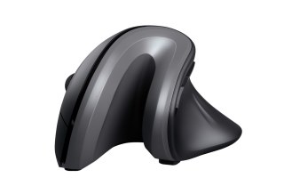 Trust Verro myszka Biuro Po prawej stronie RF Wireless Optyczny 1600 DPI Trust