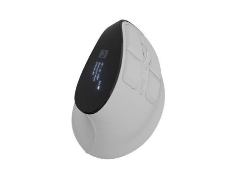 NATEC MYSZ BEZPRZEWODOWA EUPHONIE PRO BT5.0 2400DPI NATEC