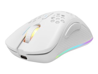 Deltaco Gaming Maus USB, RGB, weiĂź No name
