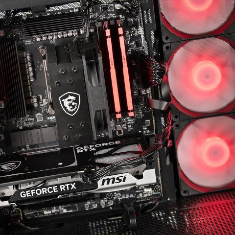 Actina PBM 5600/16GB/500GB/RTX5060/650W/W11H Actina