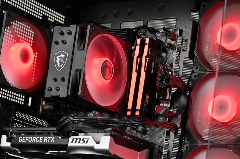 Actina PBM 5600/16GB/500GB/RTX5060/650W/W11H Actina