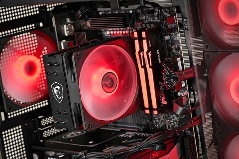 Actina PBM 5600/16GB/500GB/RTX5060/650W/W11H Actina