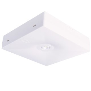 Oprawa awaryjna STARLET QUAD 3W 250 3h A MT SC