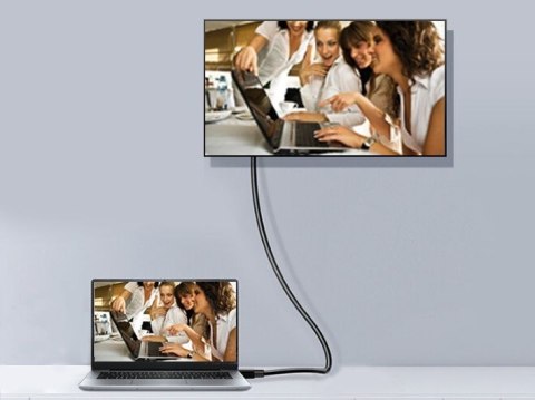 Equip 119265 kabel DisplayPort 5 m Aluminium, Czarny EQUIP