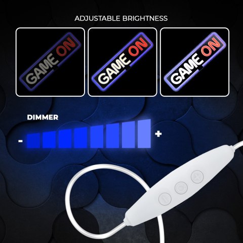 Neon plexi led game on multikolor fpne23 forever light PLASTROL