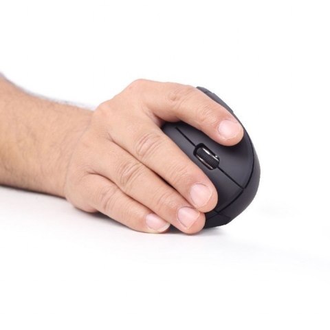 Gembird MUSW-ERGO-01 myszka Po prawej stronie RF Wireless Optyczny 1600 DPI GEMBIRD