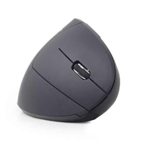 Gembird MUSW-ERGO-01 myszka Po prawej stronie RF Wireless Optyczny 1600 DPI GEMBIRD