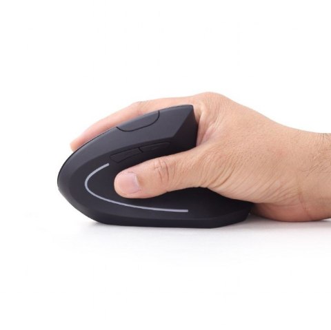 Gembird MUSW-ERGO-01 myszka Po prawej stronie RF Wireless Optyczny 1600 DPI GEMBIRD