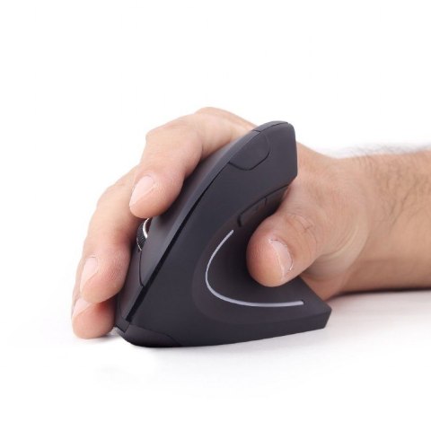 Gembird MUSW-ERGO-01 myszka Po prawej stronie RF Wireless Optyczny 1600 DPI GEMBIRD