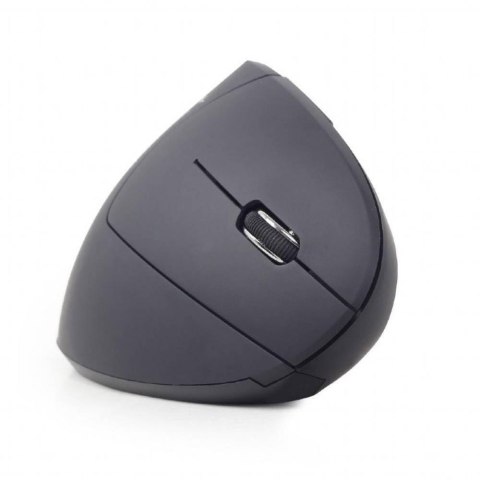 Gembird MUSW-ERGO-01 myszka Po prawej stronie RF Wireless Optyczny 1600 DPI GEMBIRD