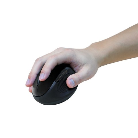 LogiLink ID0139 myszka Biuro Dla praworęcznych RF Wireless Optyczny 1600 DPI LogiLink