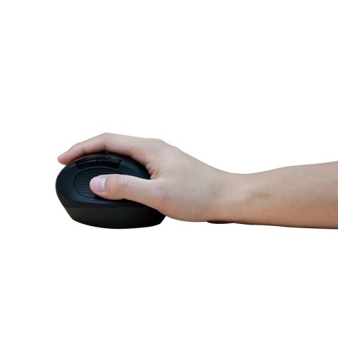 LogiLink ID0139 myszka Biuro Dla praworęcznych RF Wireless Optyczny 1600 DPI LogiLink