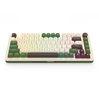 REDRAGON K681CGC-RGB-PRO Cyrus klawiatura USB + RF Wireless + Bluetooth Biały, Zielony REDRAGON