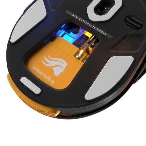 Glorious Gaming Model D3 Wireless myszka Dla praworęcznych RF Wireless Optyczny 30000 DPI GLORIOUS