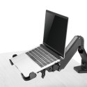 Uchwyt biurkowy laptopa Maclean 11"-17" MC-836 do pracy stojąco siedzącej