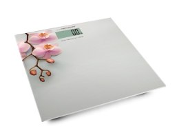 EBS010 Waga łazienkowa cyfrowa Orchid