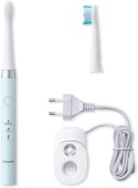 Panasonic Electric Toothbrush EW-DM81-G503 Rechargeable, For adults, Number of brush heads included 2, Number of teeth brushing